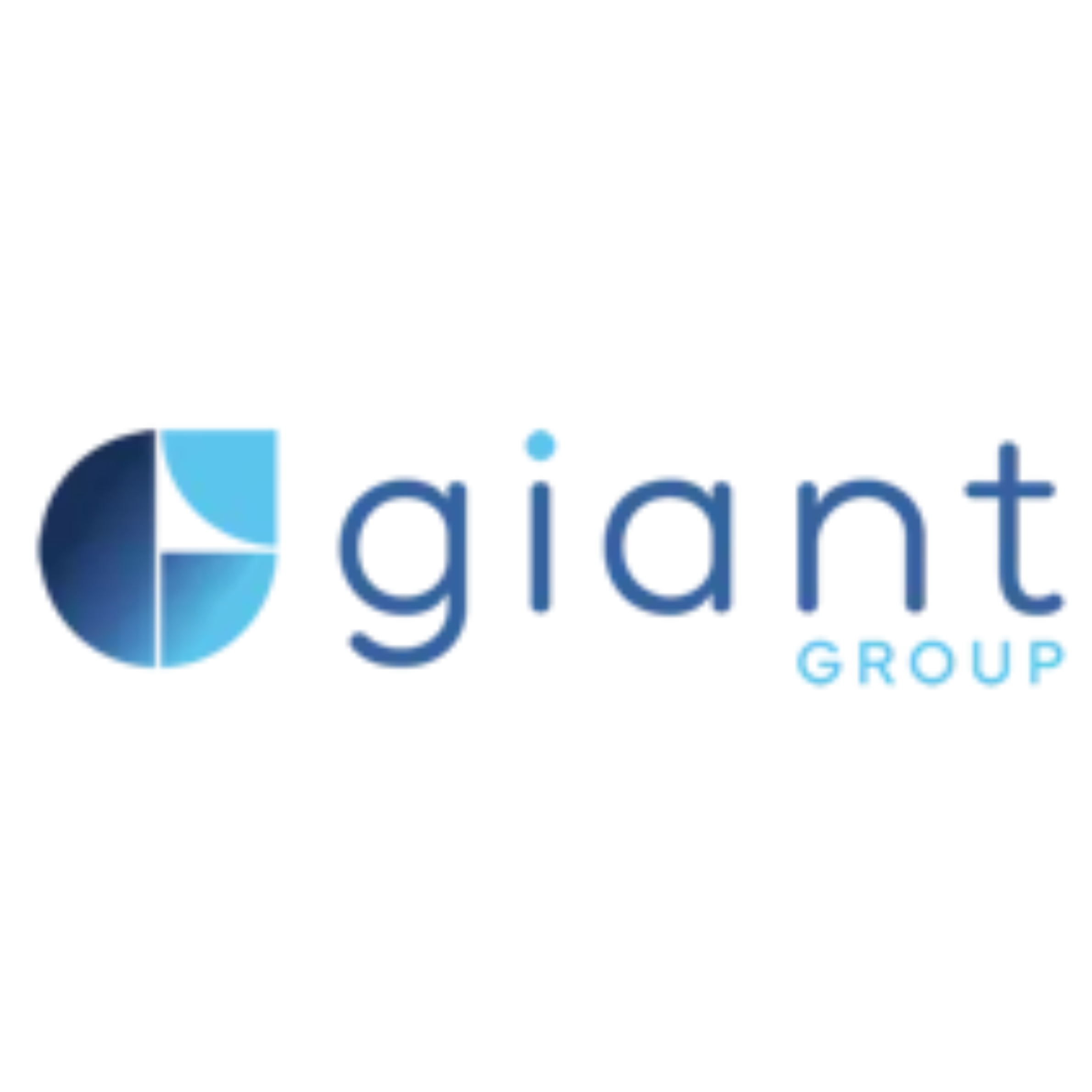 Gaint Group TALiNT Partners